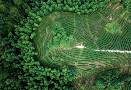 福建龍巖：高效用地，提升生態(tài)環(huán)境水平