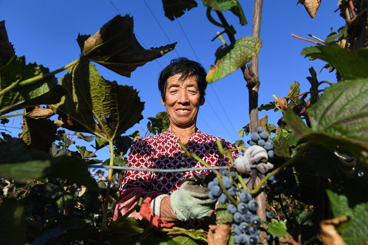 鏗鏘的時代樂章——黨的十八大以來習近平 總書記考察調研過的貧困村脫貧調查