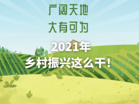 廣闊天地 大有可為 2021年鄉村振興這么干！