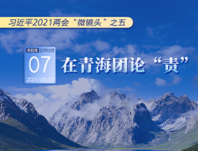 習近平2021兩會“微鏡頭”之五：3月7日 在青海團論“責”