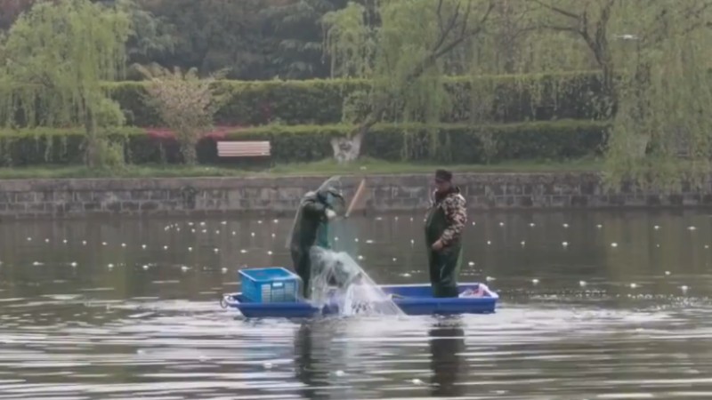 別人家的學校！安師大請師生吃一萬斤魚